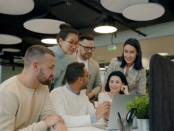 Wiseish team collaborating